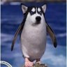 你哪个单位的's profile picture