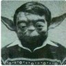 Glen Webster 的头像