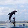 Фото профиля なみっち🐬