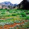 Фото профиля إبراهيم الشبرمي