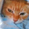 Profilbild von ïœïœ
ïœïœïœïœïœ