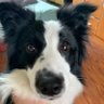 zeabankey profil fotoğrafı