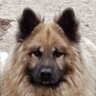 Kemipue's profile picture
