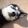 童旺财 的头像