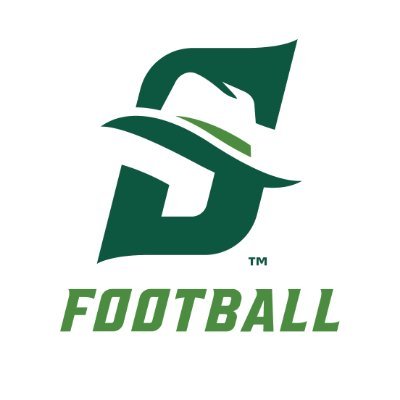 StetsonFootball's profile picture