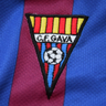 Havok - Blog CF Gavà's profile picture