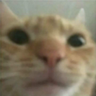 Okay, cool.'s profile picture