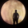 mehmedfateh's profile picture