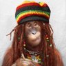 Profilbild von Blackie ®️