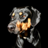 Profilbild von Mona Lishous