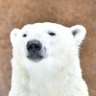 mayu*'s profile picture