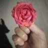 أبو سلمه profil fotoğrafı