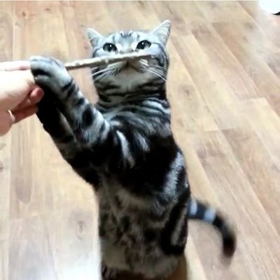 봉구네 김밥이's profile picture
