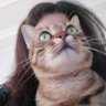 Profilbild von Sedaile