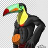 Фото профиля Toucansam