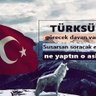 münür Altınay's profile picture