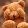 てでぃ(태디)🐻 profil fotoğrafı