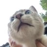 Profilbild von KLIN