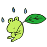 カエル profil fotoğrafı