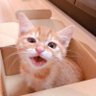 Фото профиля さいとうさん