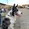MLeon83 profil fotoğrafı