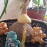Los Osos 的头像