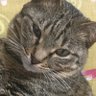 笑顔は最大の防御なり(^^) profil fotoğrafı