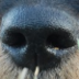 Lenka 👀 profil fotoğrafı