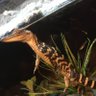 Фото профиля Turok4527