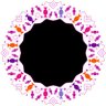S's profile picture