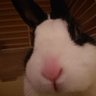 tosinobu profil fotoğrafı
