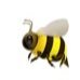 Фото профиля دبور 60 🐝