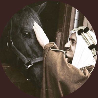 شذى يوسف القاسمஐ's profile picture