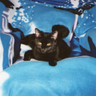 maxxi's profile picture