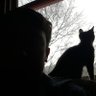 Quinten's profile picture