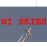 NI SKIES 的头像