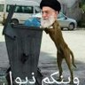 iraqi profil fotoğrafı