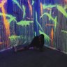 emily's profile picture