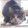 たつひこ profil fotoğrafı