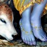 Фото профиля Srinidhi Gundappa