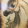 Profilbild von الفارس