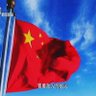 shdapeng 的头像