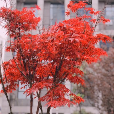 Lu's profile picture
