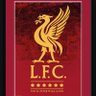 Liverpool Red profil fotoğrafı