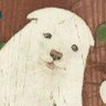 さんかくモナカ profil fotoğrafı