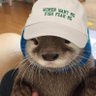 Фото профиля Otter Nonsense