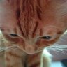maría profil fotoğrafı