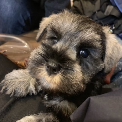 TatsuyaYabeVL's profile picture