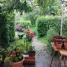 ZJL profil fotoğrafı