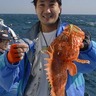おまつり本舗/手洗してね profil fotoğrafı